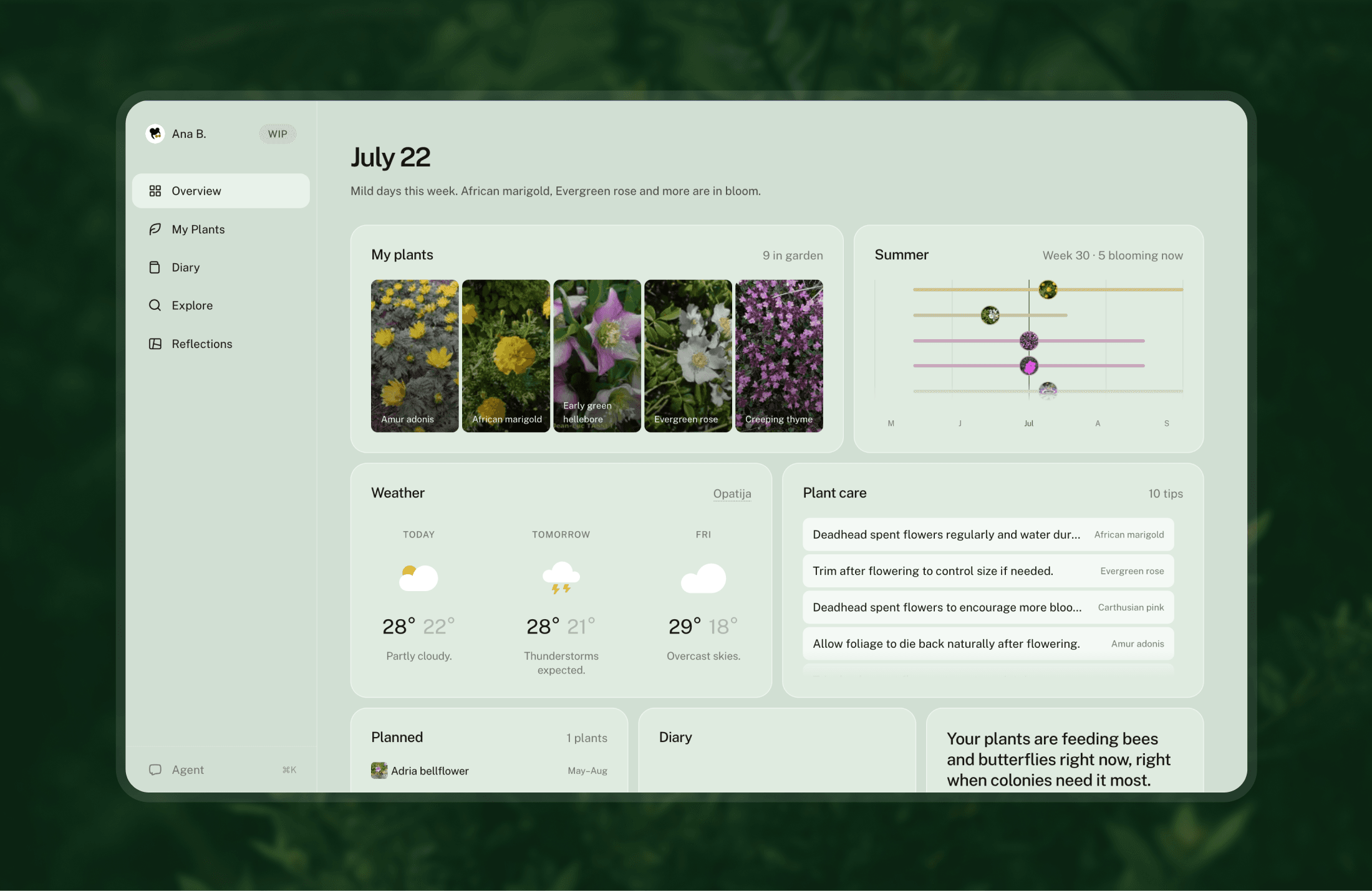 Santolina dashboard interface