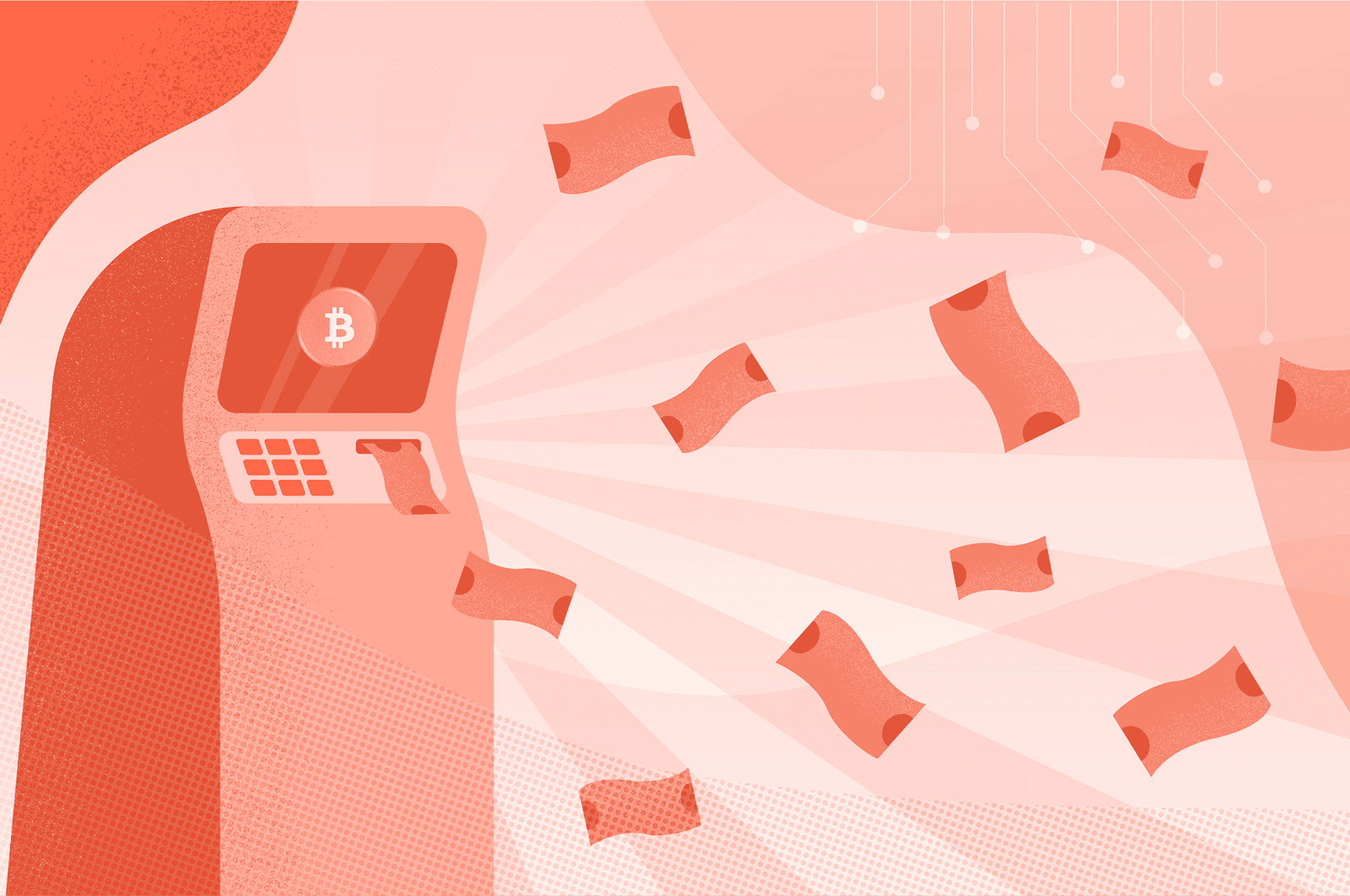 Worldcoin Ø detail (bottom)